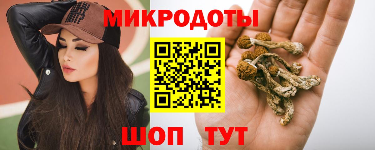Аша  Галлюциногенные грибы MAGIC MUSHROOMS  купить наркотик  Вход с VPN 